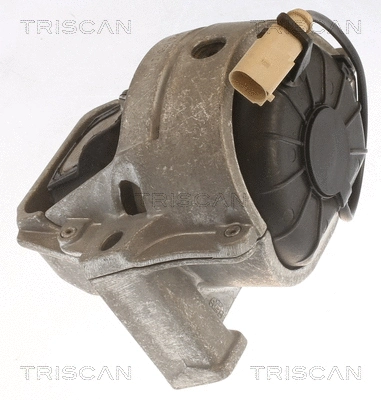 Mounting, engine