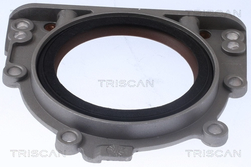 Shaft Seal, crankshaft (8550 29031)
