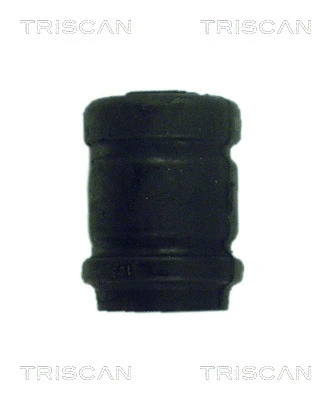 Mounting, control/trailing arm (8500 24808)