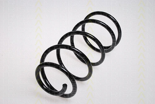Suspension Spring (8750 16043)