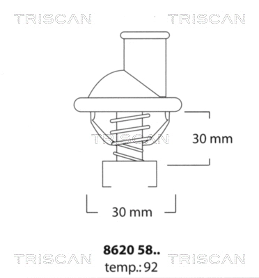 Thermostat, coolant (8620 5892)