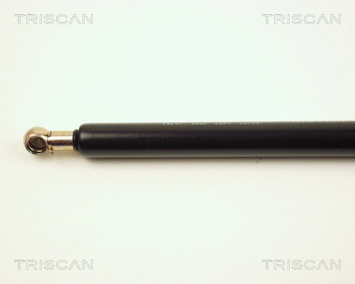 Gas Spring, boot/cargo area