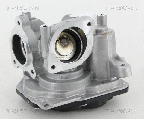 EGR Valve (8813 10031)