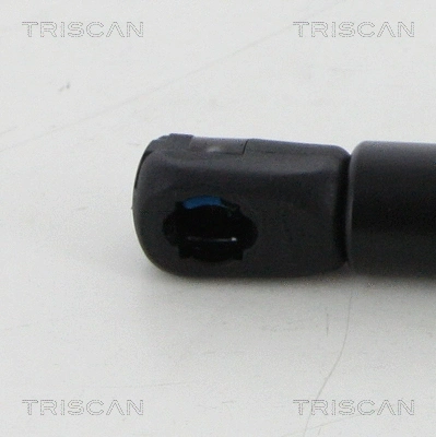 Gas Spring, bonnet