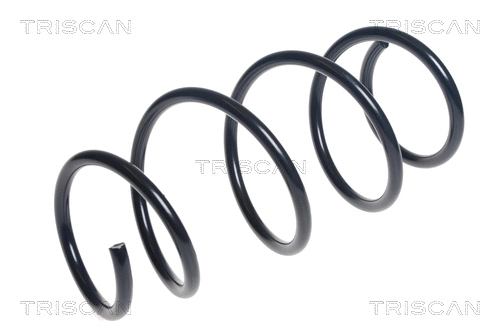 Suspension Spring (8750 13213)