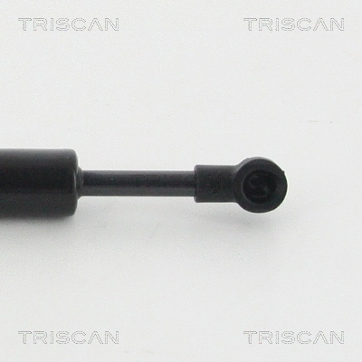 Gas Spring, boot/cargo area