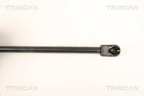 Gas Spring, boot/cargo area