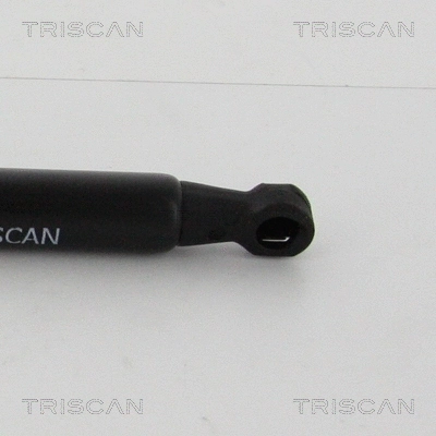 Gas Spring, boot/cargo area