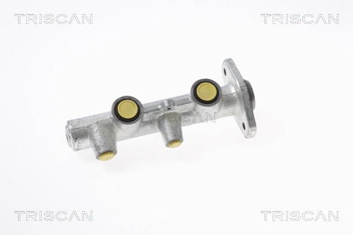 Brake Master Cylinder (8130 16138)