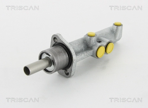 Brake Master Cylinder (8130 10130)