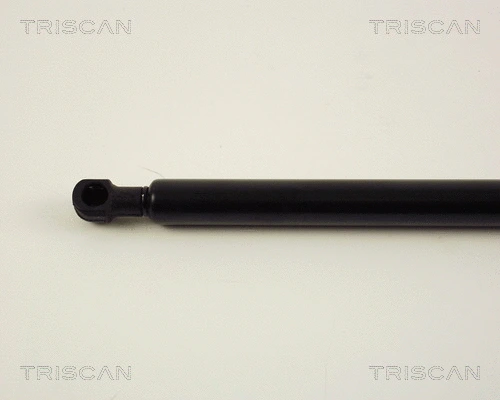 Gas Spring, boot/cargo area