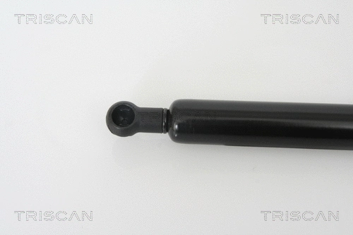 Gas Spring, boot/cargo area