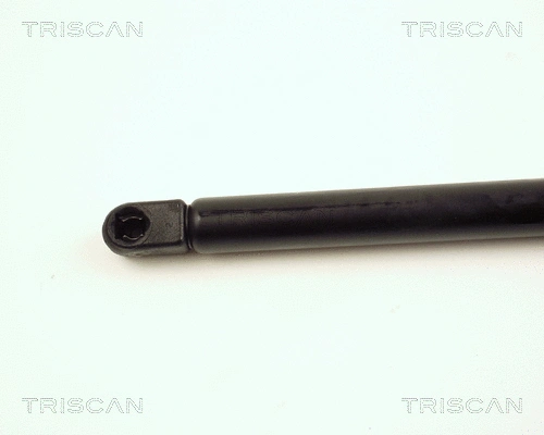 Gas Spring, boot/cargo area