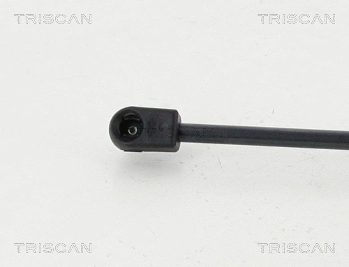 Gas Spring, boot/cargo area