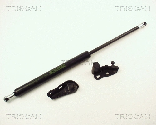 Gas Spring, boot/cargo area
