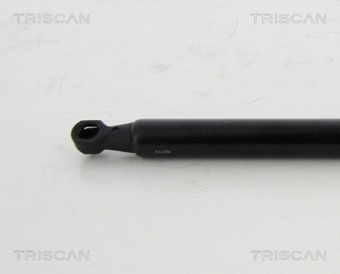 Gas Spring, boot/cargo area