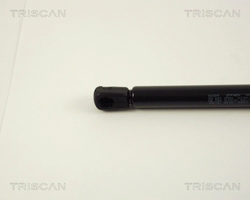 Gas Spring, boot/cargo area