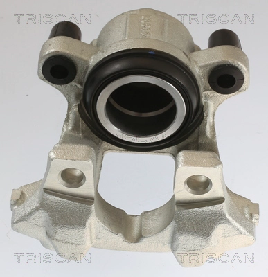 Brake Caliper (8175 11109)
