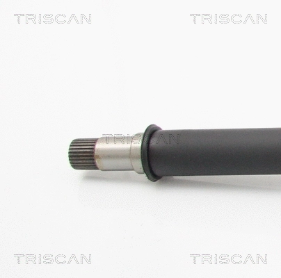 Drive Shaft