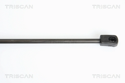 Gas Spring, boot/cargo area