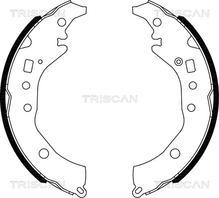 Brake Shoe Set (8100 10039)