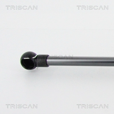 Gas Spring, boot/cargo area