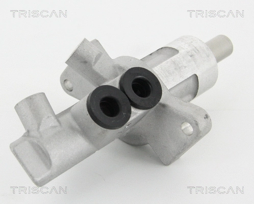 Brake Master Cylinder (8130 11132)