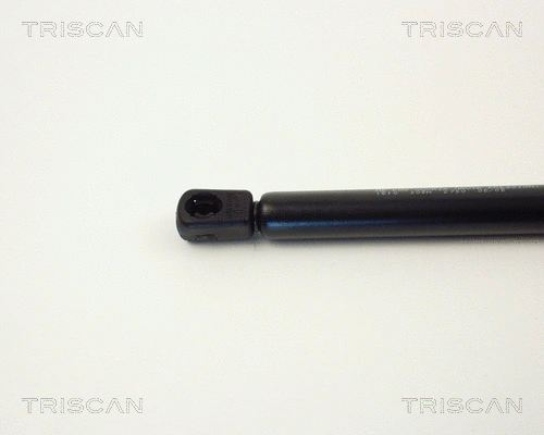Gas Spring, boot/cargo area