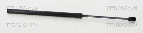 Gas Spring, boot/cargo area (8710 292051)