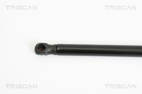 Gas Spring, boot/cargo area
