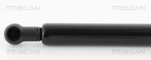 Gas Spring, boot/cargo area