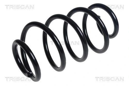 Suspension Spring (8750 16132)