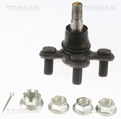 Ball Joint (8500 40591)