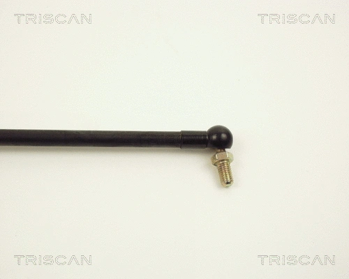 Gas Spring, boot/cargo area