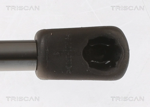 Gas Spring, boot/cargo area