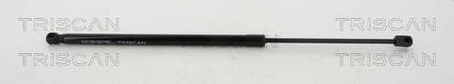 Gas Spring, boot/cargo area (8710 14247)