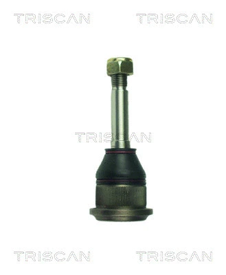 Ball Joint (8500 24082)