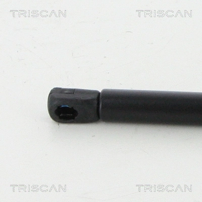 Gas Spring, boot/cargo area
