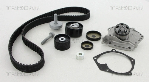 Water Pump & Timing Belt Kit (8647 250013)