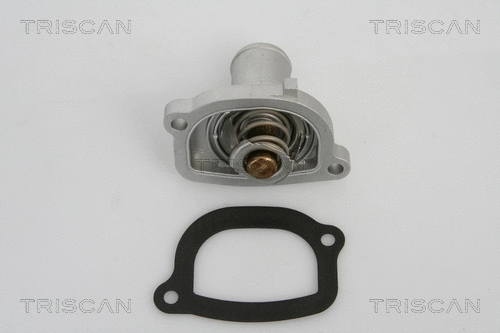 Thermostat, coolant (8620 19687)