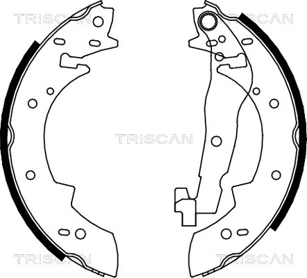 Brake Shoe Set (8100 10307)