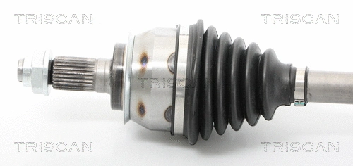 Drive Shaft