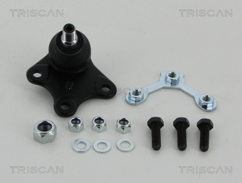 Ball Joint (8500 29563)