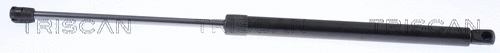 Gas Spring, boot/cargo area (8710 23253)