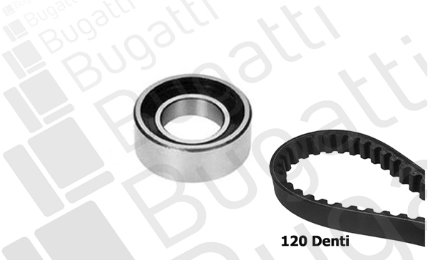 Timing Belt Kit (BKCD0318)
