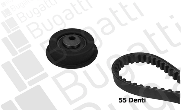 Timing Belt Kit (BKCD0218)