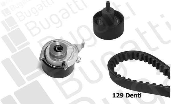 Timing Belt Kit (BKCD0279)