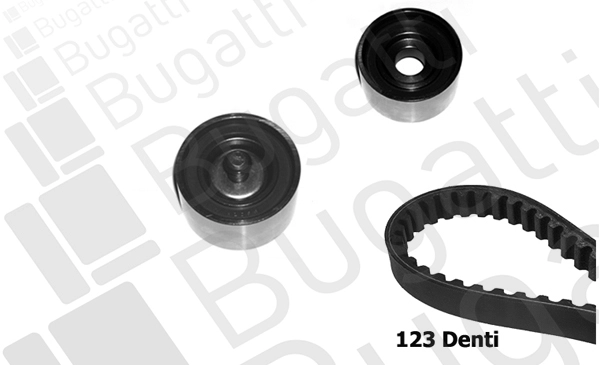 Timing Belt Kit (BKCD0333)