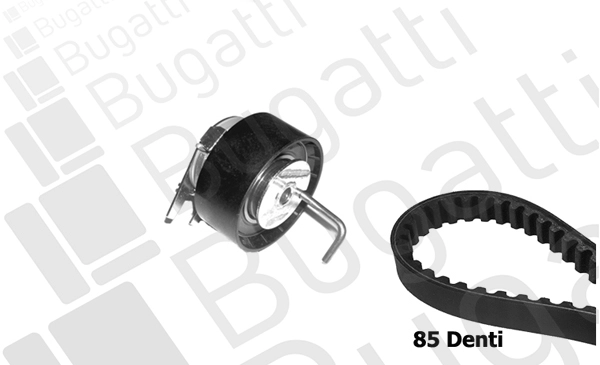 Timing Belt Kit (BKCD0784)