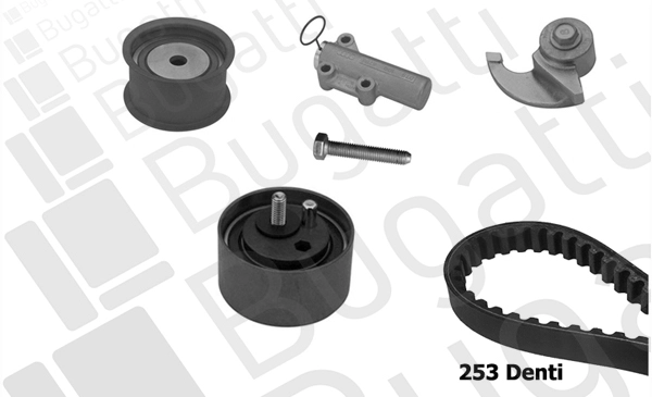 Timing Belt Kit (BKCD0616)